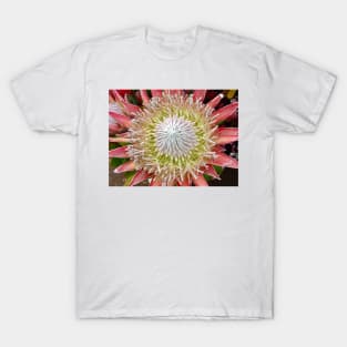 Protea Hawaii 2 T-Shirt